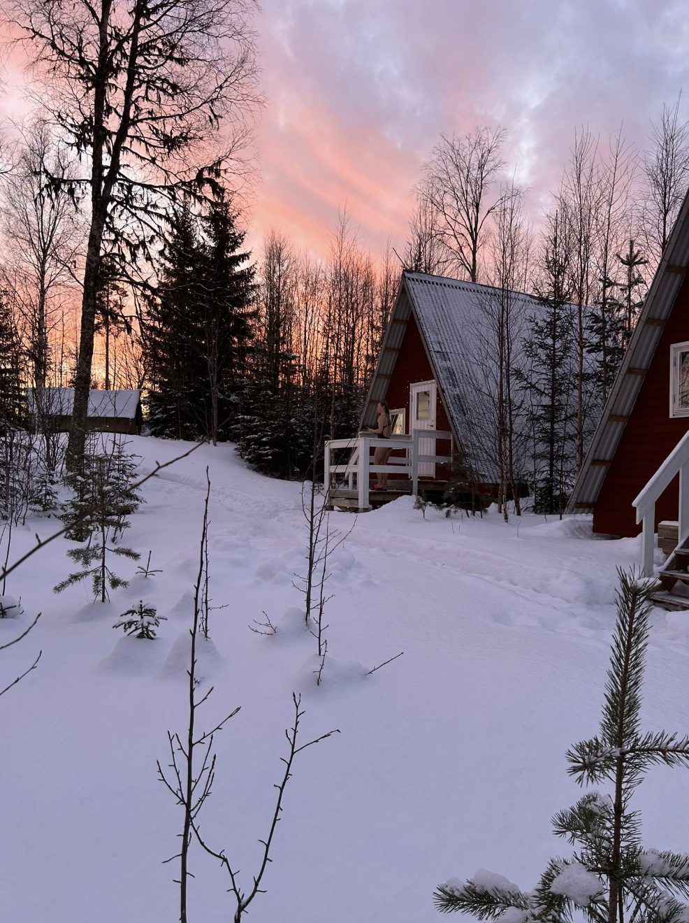 A-frame cabins under a pink winter sunset
